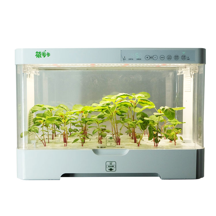Hydroponic Kit - 小型屋内用スマートプラスチック製プランターキャビネット、水耕栽培システム、育苗ボックス、温室用アクセサリー