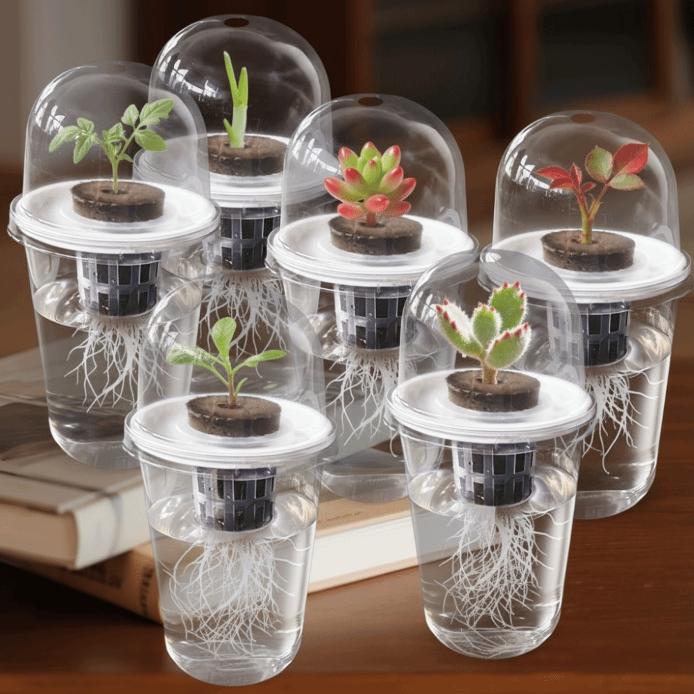 Seed Starter Tray - 1～5個入り 透明な植物発芽カップ 水耕栽培種子プランターポット 再利用可能な耐久性のある種子スタータートレイ プラスチック製ビューカップ