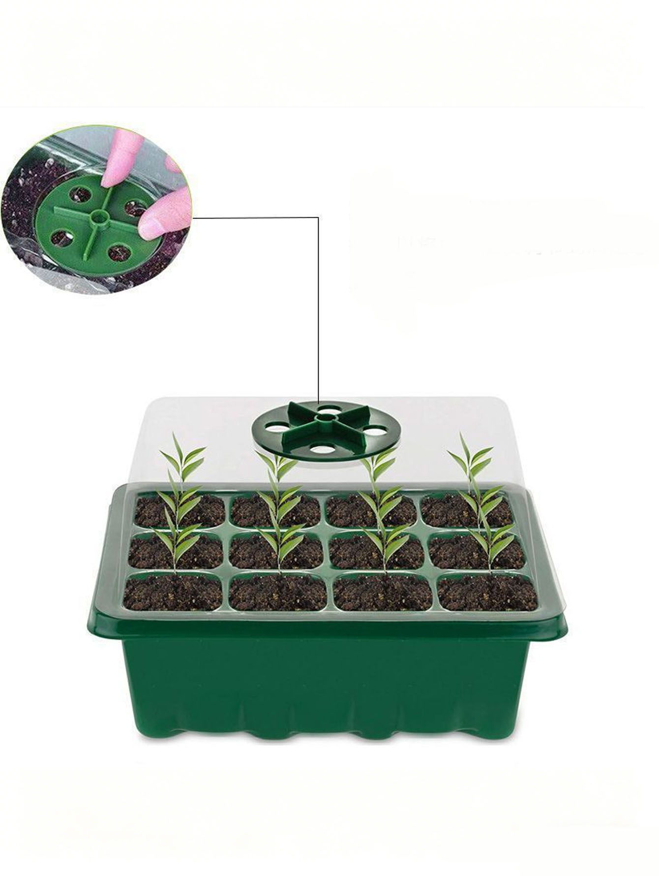 Seed Starter Tray - 1/2pc 6/12穴苗トレイ、排水穴付きの厚みのあるプラスチック製。 多肉植物の発芽に最適、屋内/屋外で使用可能。
