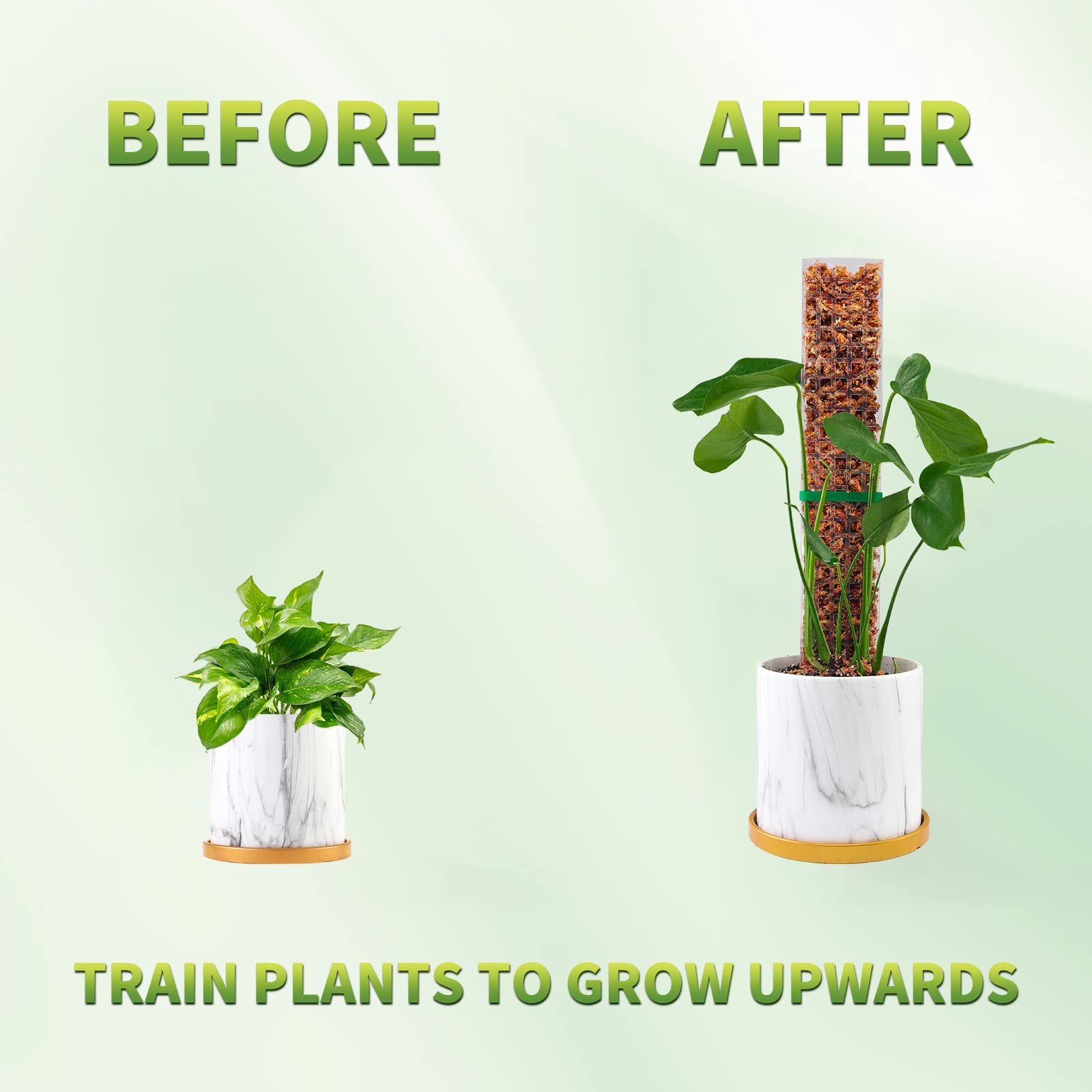 苔ポール植物植物サポートプラスチック透明再利用可能な屋内鉢植 - Indoor Herb Garden のレビューと価格
