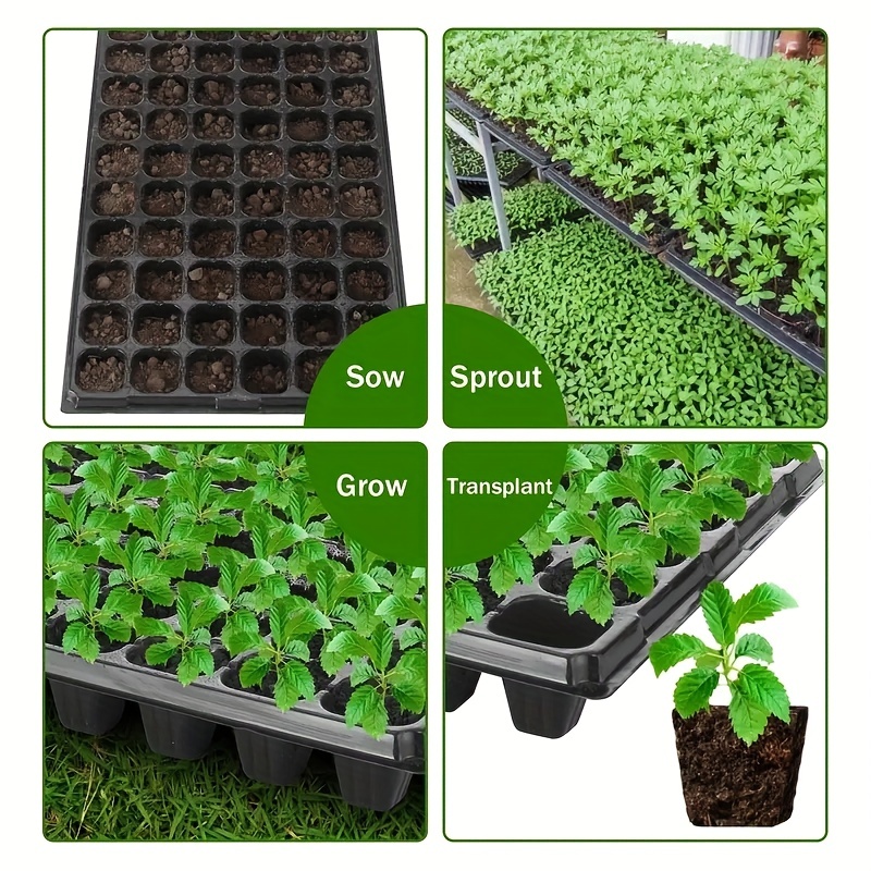 10～20個用育苗トレー、温室での発芽・生育用トレー、庭、芝 - Seed Starter Tray のレビューと価格