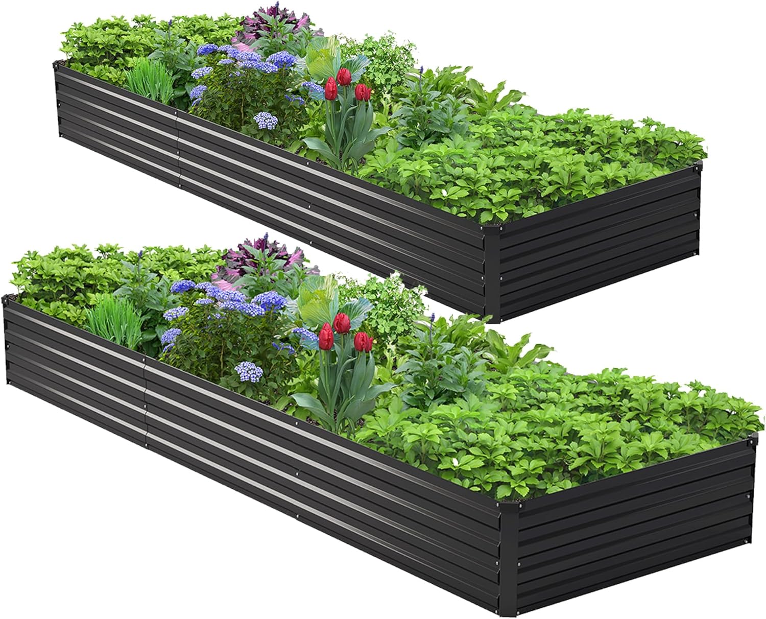 2個セット 10x3x1フィート 亜鉛メッキ仕上げの高床式菜 - Raised Garden Bed のレビューと価格