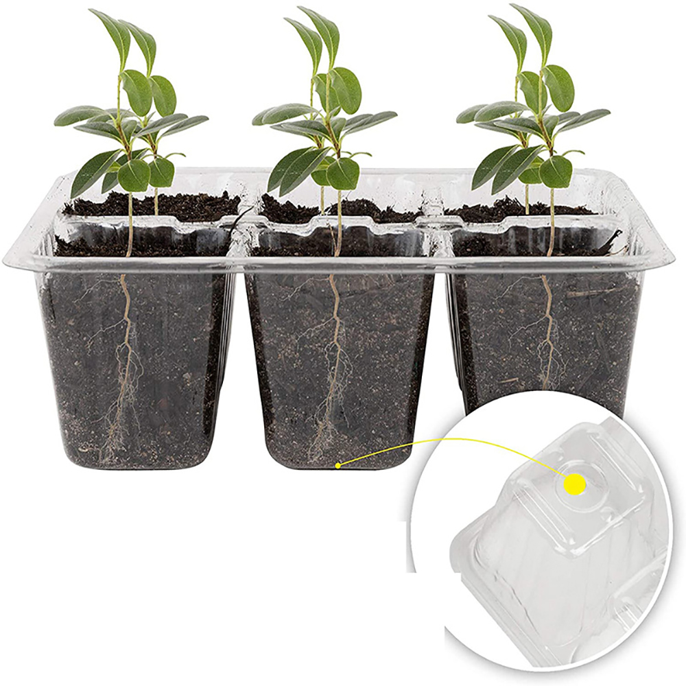 成長トレイ付きシードスターター,種のスターターキット,湿度計 - Seed Starter Tray のレビューと価格