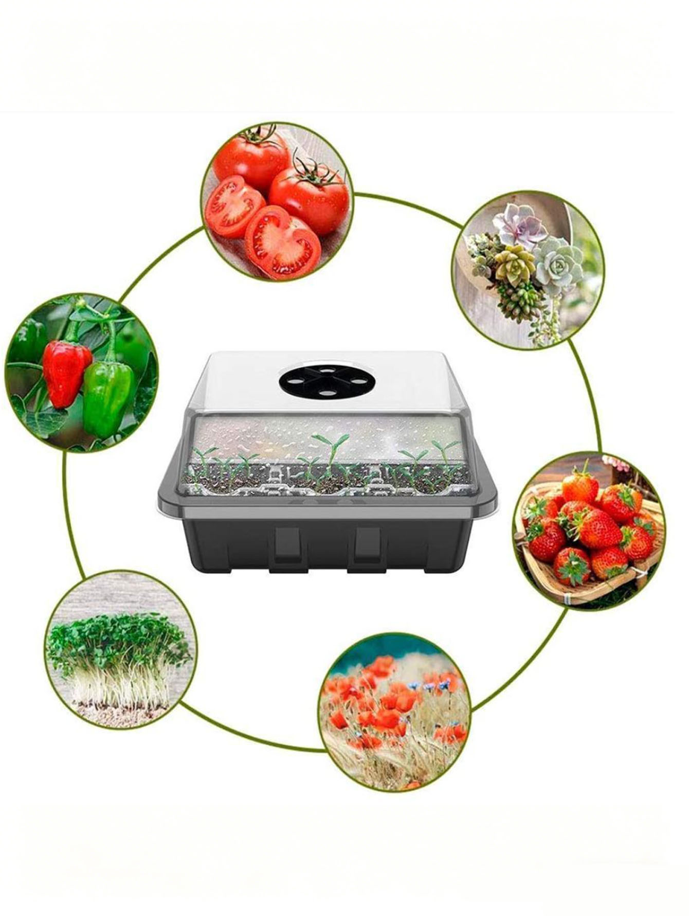 1/2pc 6/12穴苗トレイ、排水穴付きの厚みのあるプラス - Seed Starter Tray のレビューと価格